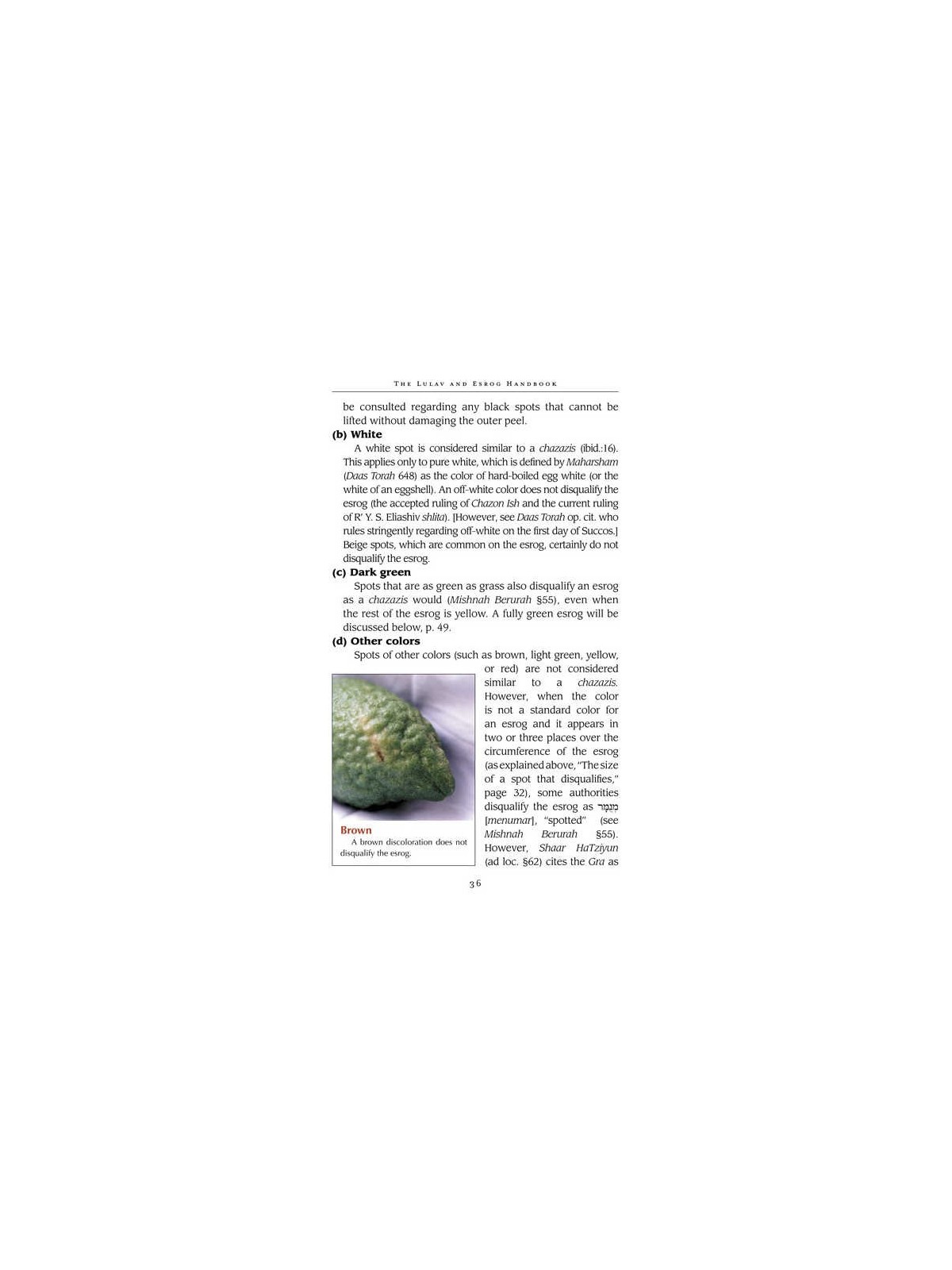 The Lulav and Esrog Handbook - Hardcover | Sukkot | Judaica